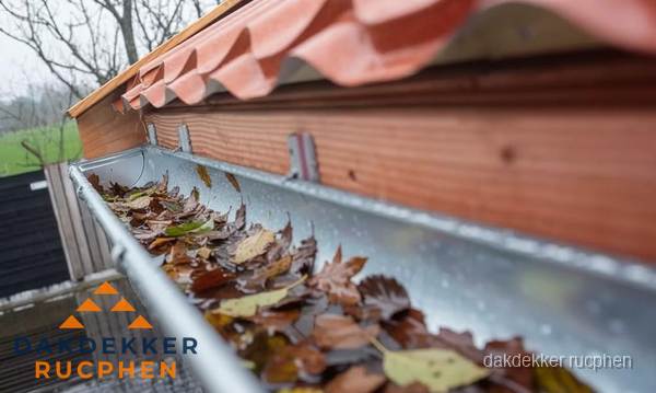 Dakgoot vol bladeren die gereinigd moet worden in Rucphen Dakgoot vol bladeren die gereinigd moet worden in Rucphen