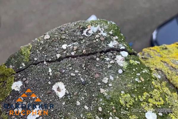 Beschadigde en verweerde nokvorst met scheuren en mos in Rucphen Beschadigde en verweerde nokvorst met scheuren en mos in Rucphen