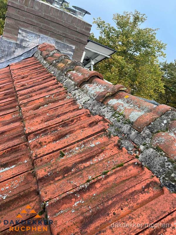 Verweerd hellend dak met mosgroei op nokvorst in Rucphen