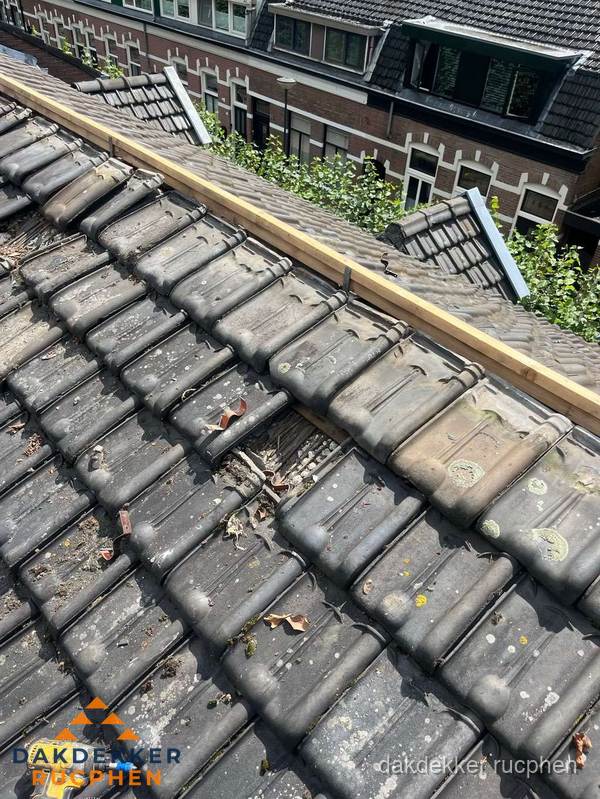 Dakonderhoud aan schuin pannendak met nokvernieuwing in Rucphen Dakonderhoud aan schuin pannendak met nokvernieuwing in Rucphen