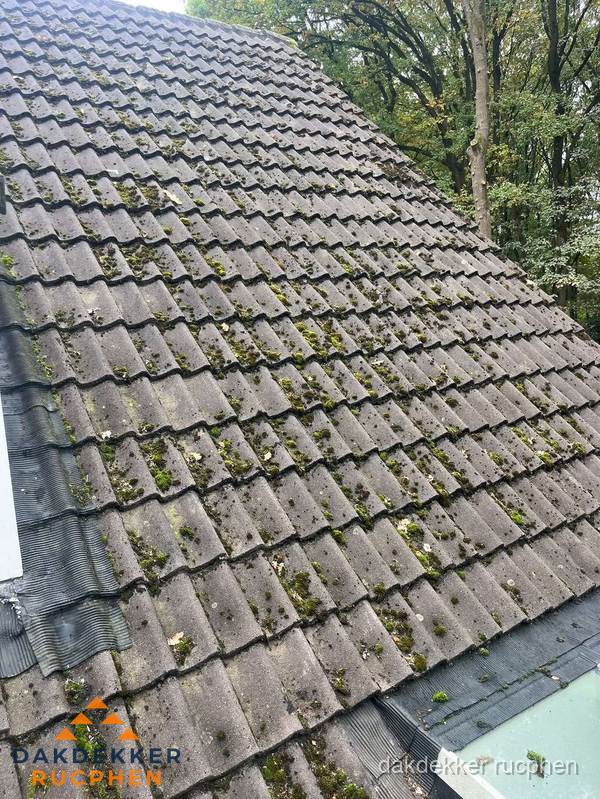 Verweerd pannendak met mosgroei dat renovatie nodig heeft in Rucphen Verweerd pannendak met mosgroei dat renovatie nodig heeft in Rucphen